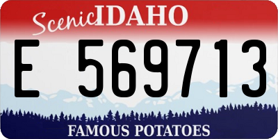 ID license plate E569713