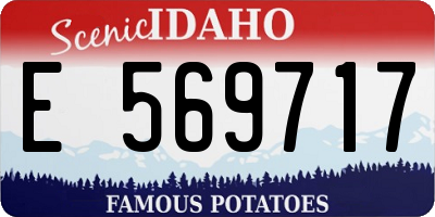 ID license plate E569717