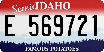 ID license plate E569721