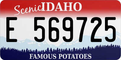 ID license plate E569725