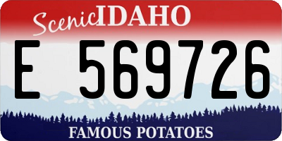 ID license plate E569726