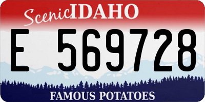 ID license plate E569728