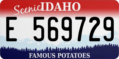 ID license plate E569729