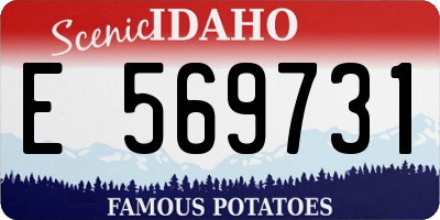 ID license plate E569731
