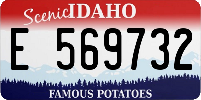 ID license plate E569732