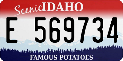 ID license plate E569734