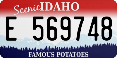 ID license plate E569748