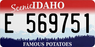 ID license plate E569751