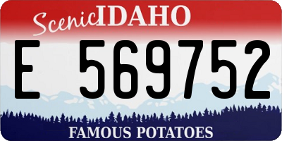 ID license plate E569752