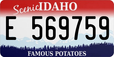 ID license plate E569759