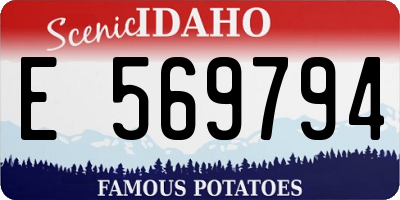 ID license plate E569794