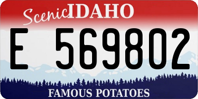 ID license plate E569802