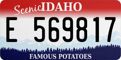 ID license plate E569817