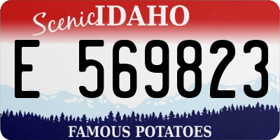 ID license plate E569823