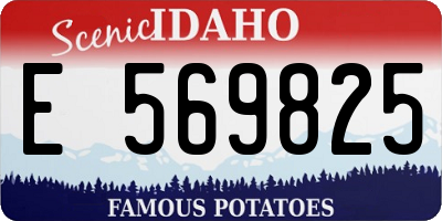 ID license plate E569825
