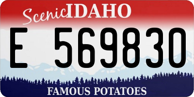 ID license plate E569830