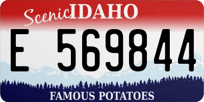 ID license plate E569844
