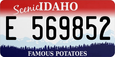 ID license plate E569852