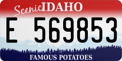 ID license plate E569853