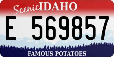 ID license plate E569857