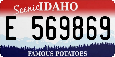 ID license plate E569869