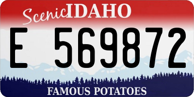 ID license plate E569872