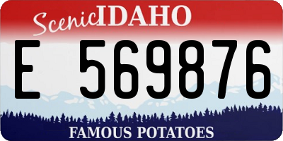 ID license plate E569876