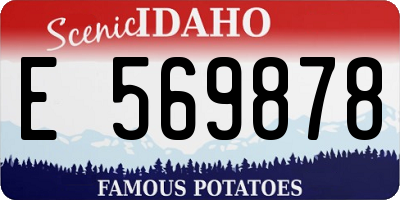 ID license plate E569878