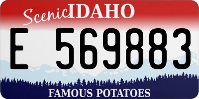 ID license plate E569883