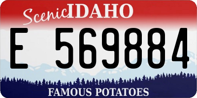 ID license plate E569884
