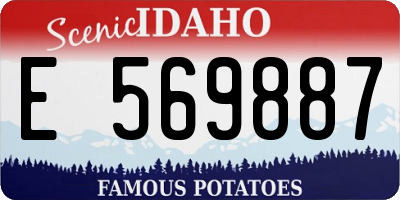 ID license plate E569887