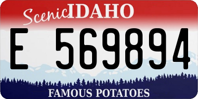 ID license plate E569894