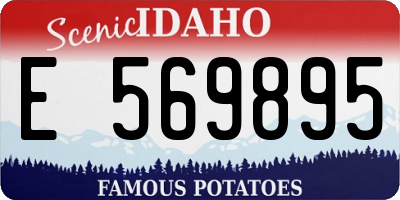 ID license plate E569895