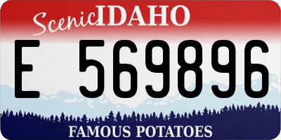 ID license plate E569896