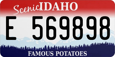 ID license plate E569898