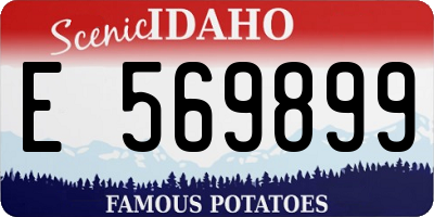 ID license plate E569899