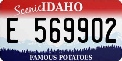 ID license plate E569902