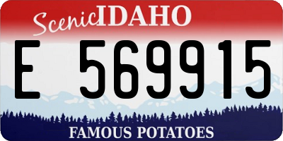 ID license plate E569915