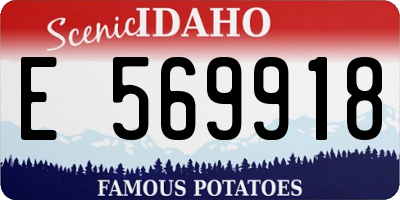 ID license plate E569918
