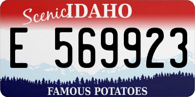 ID license plate E569923