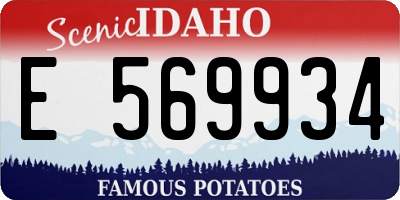 ID license plate E569934