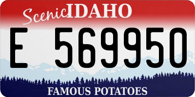 ID license plate E569950