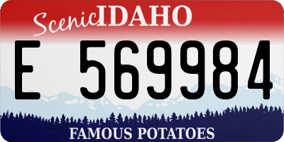 ID license plate E569984