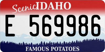 ID license plate E569986