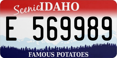 ID license plate E569989