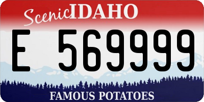 ID license plate E569999