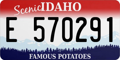 ID license plate E570291