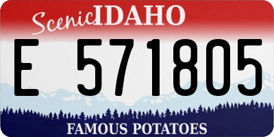 ID license plate E571805