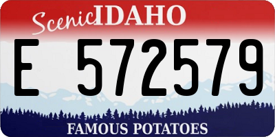 ID license plate E572579
