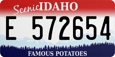 ID license plate E572654